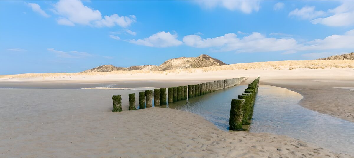 OCCOM5222551: Tranquil Beach with Wooden Poles