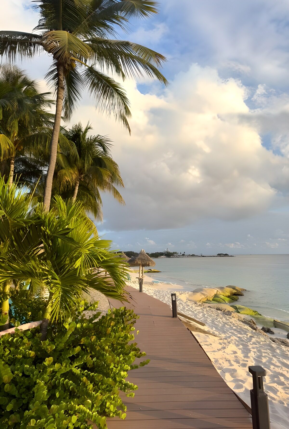 Serene Beach Pathway