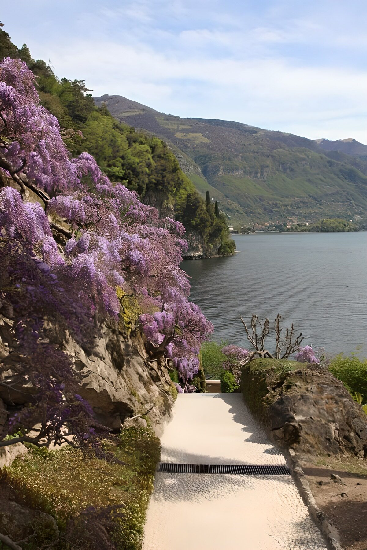 Serene Lakeside Pathway