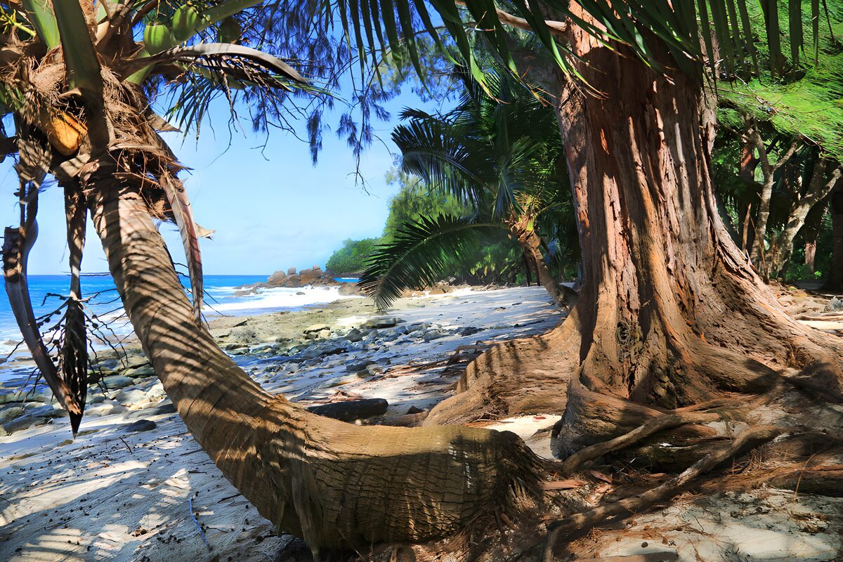 OCCOM2066257: Serene Coastal Paradise