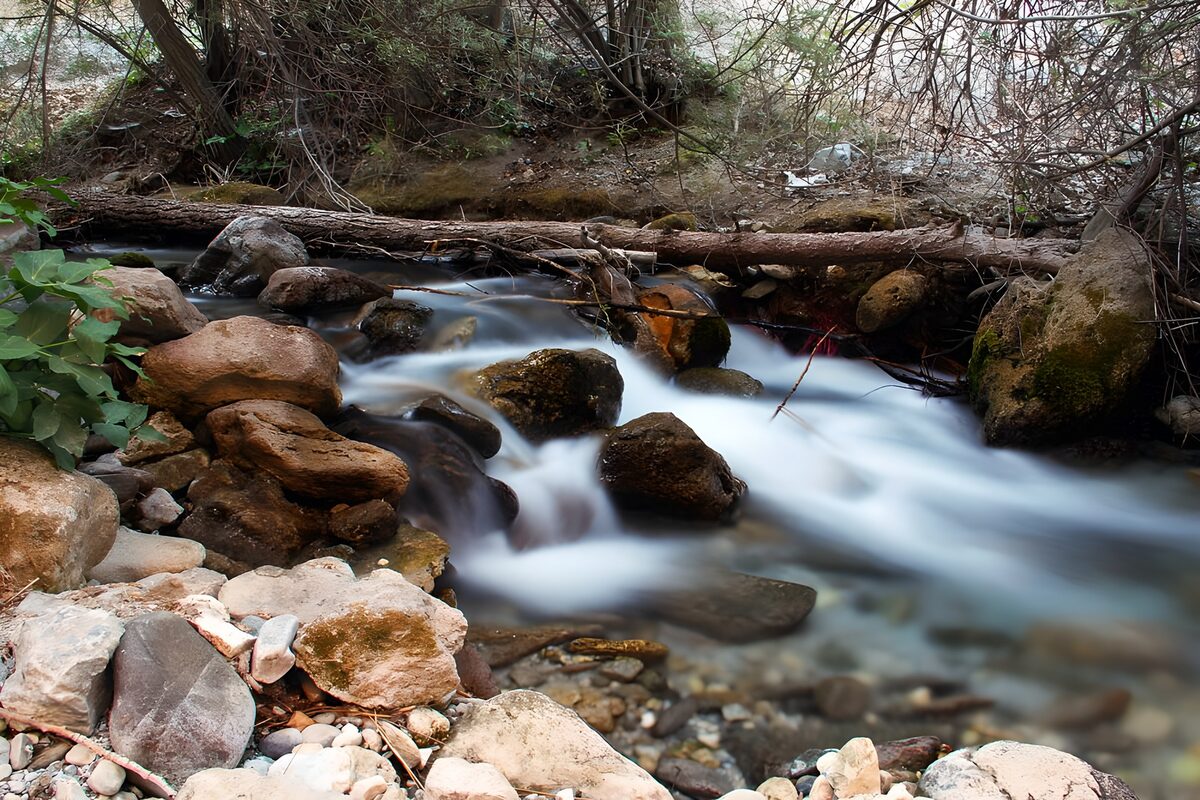 Serene Stream Flowing Through Stones
