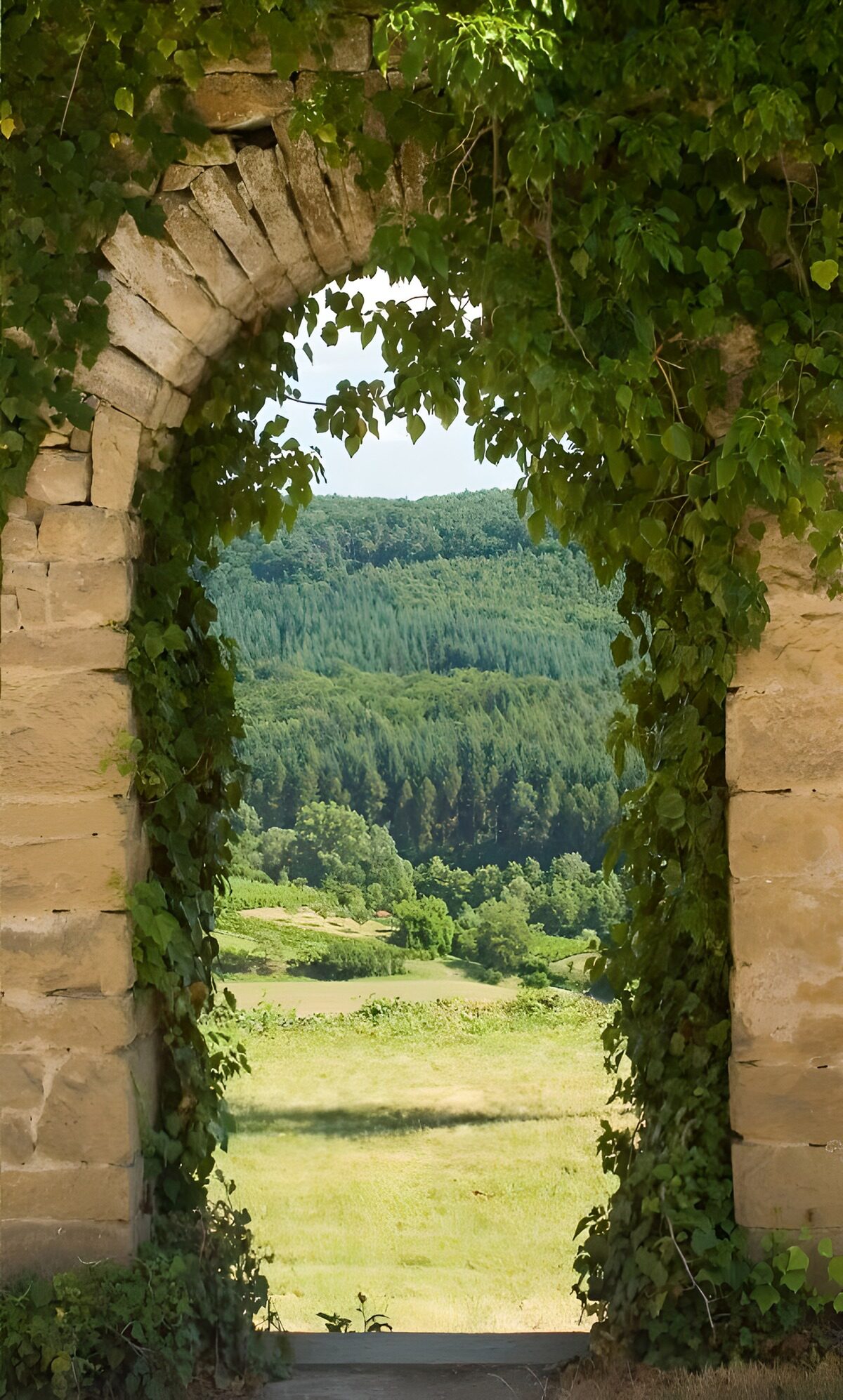 View Through the Archway