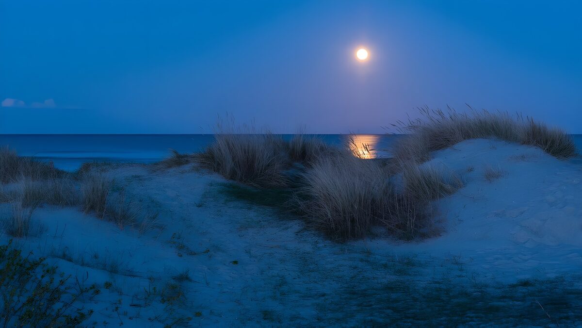 Moonlit Beach Serenity