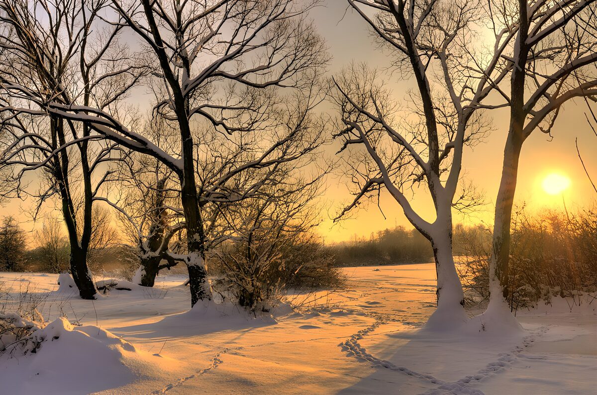 OCCOM7011058: Winter Sunset Serenity