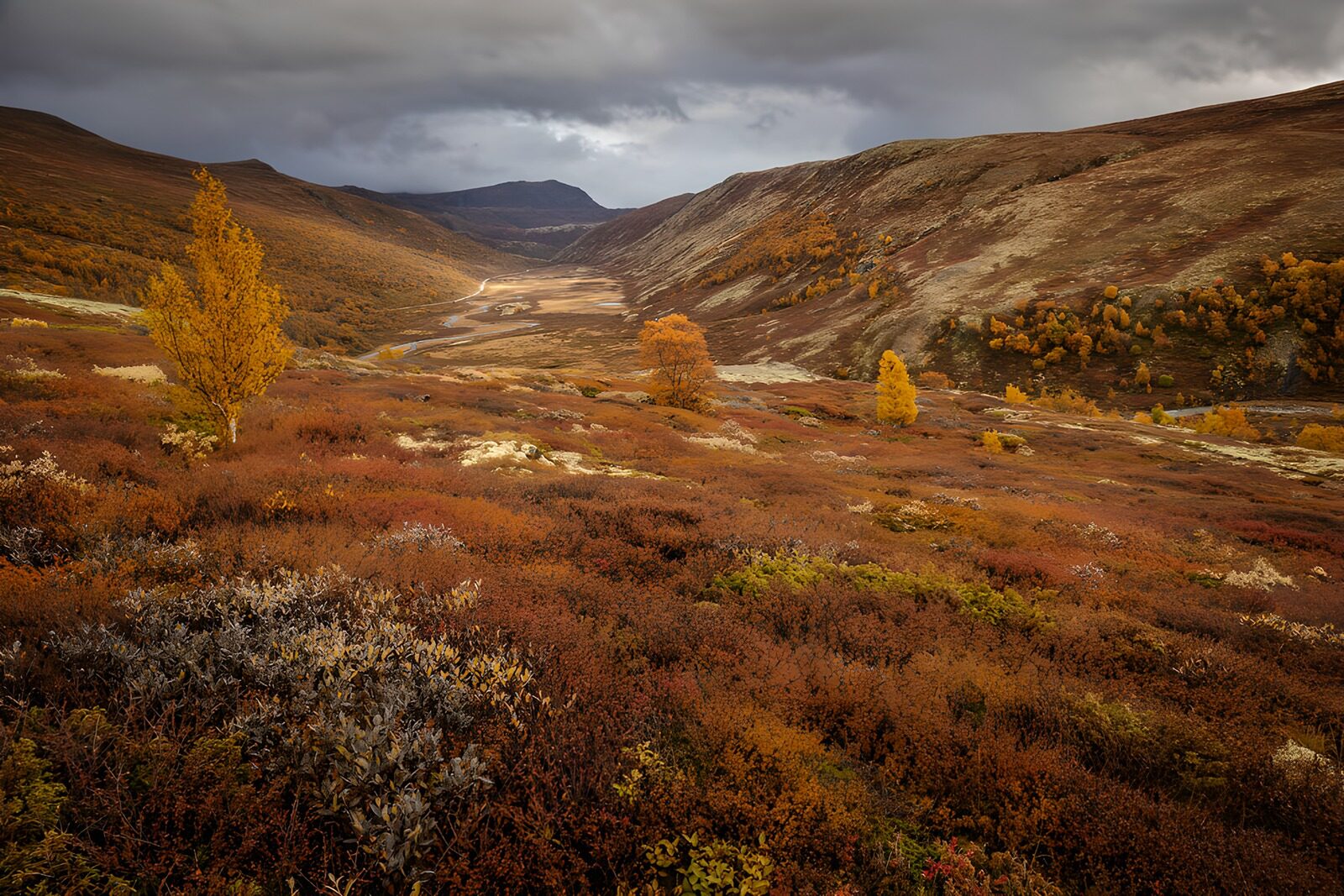 OCCOM8804637: Autumn Serenity in a Mountain Valley