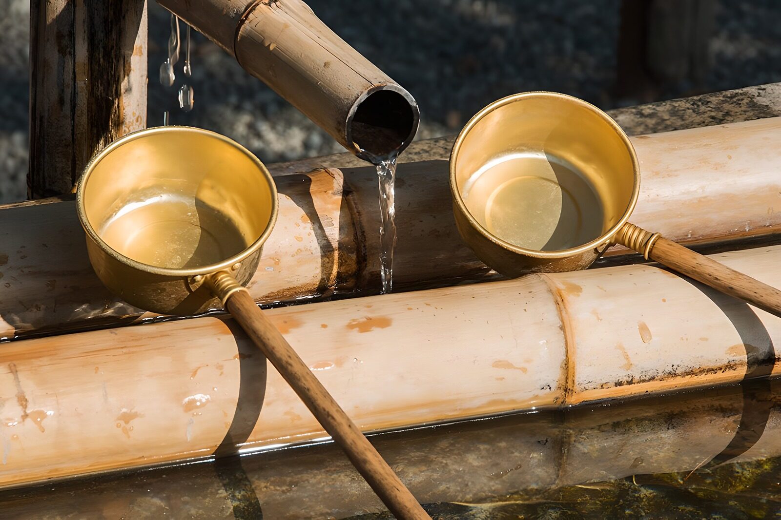 OCCOM9751669: Tranquil Water Ritual