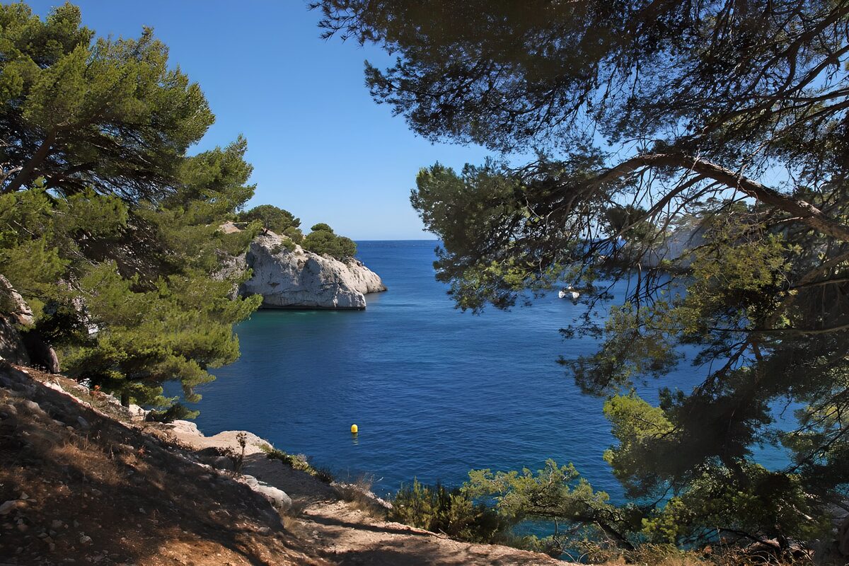 OCCOM2765132: Tranquil Coastal View