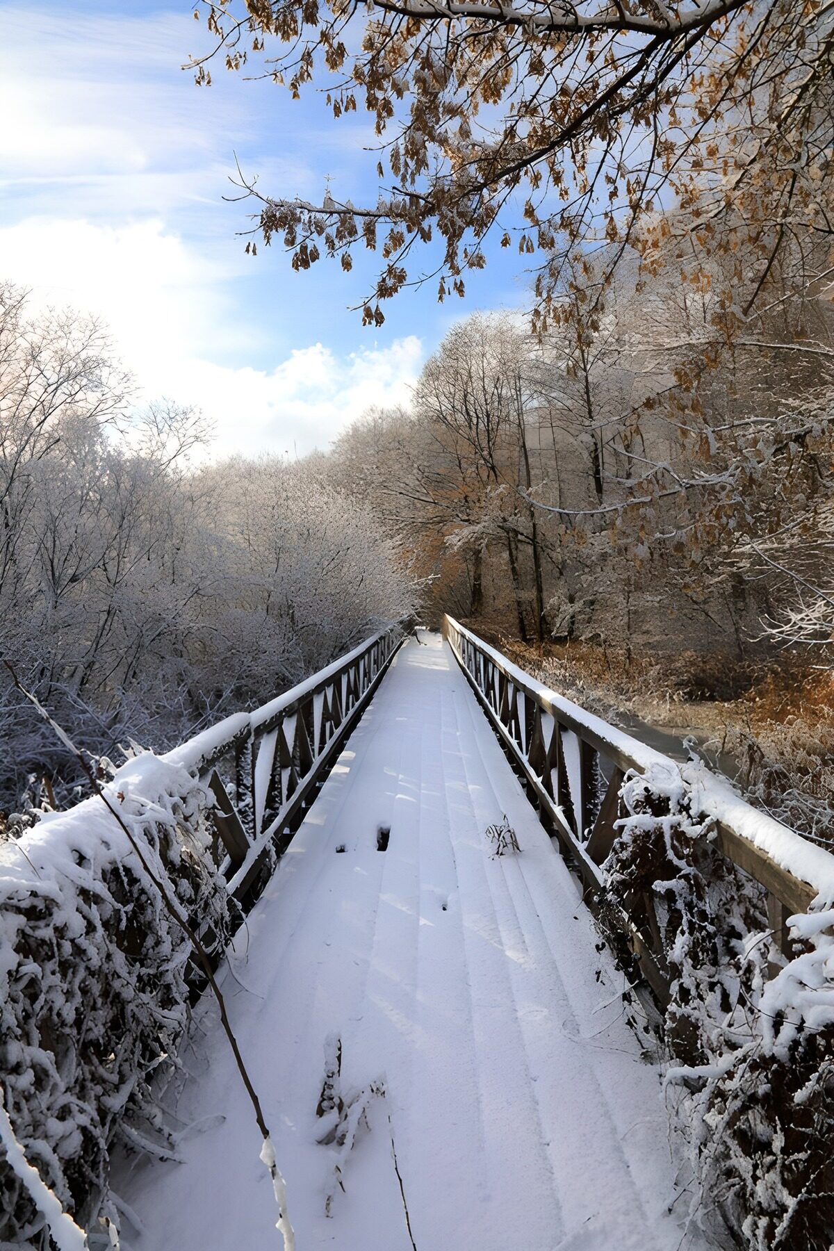 OCCOM9960381: Snow-Covered Bridge in Serene Winter Landscape