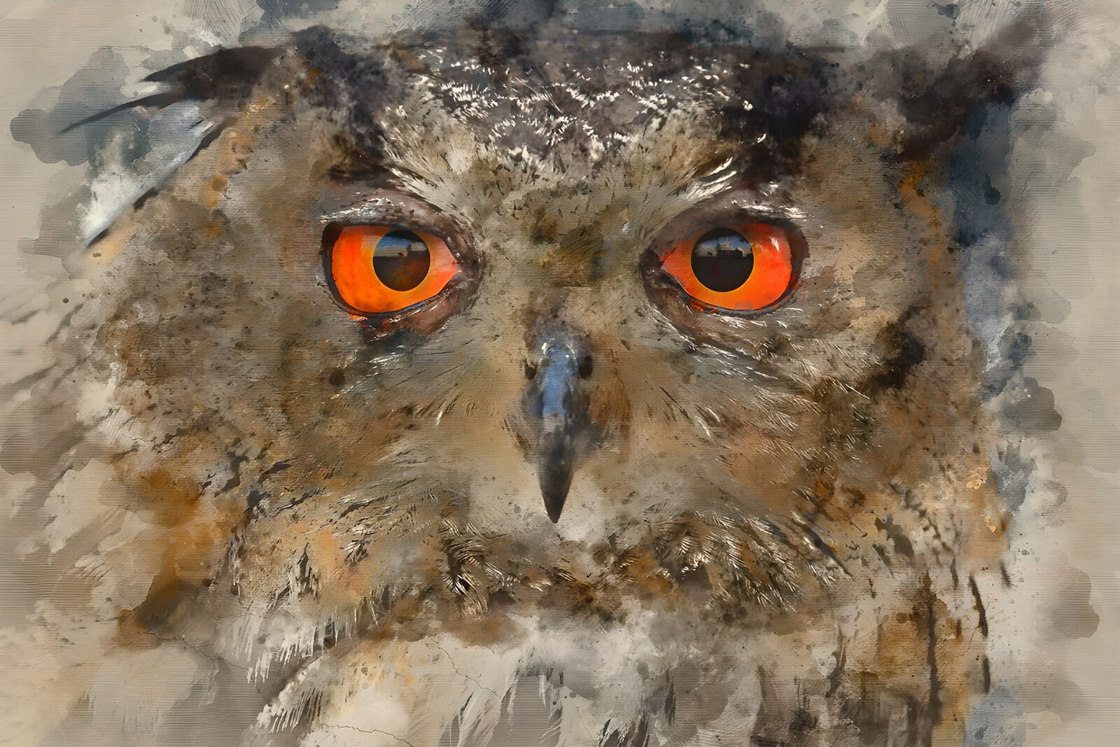 OCCOM2854754: Mysterious Owl with Fiery Eyes