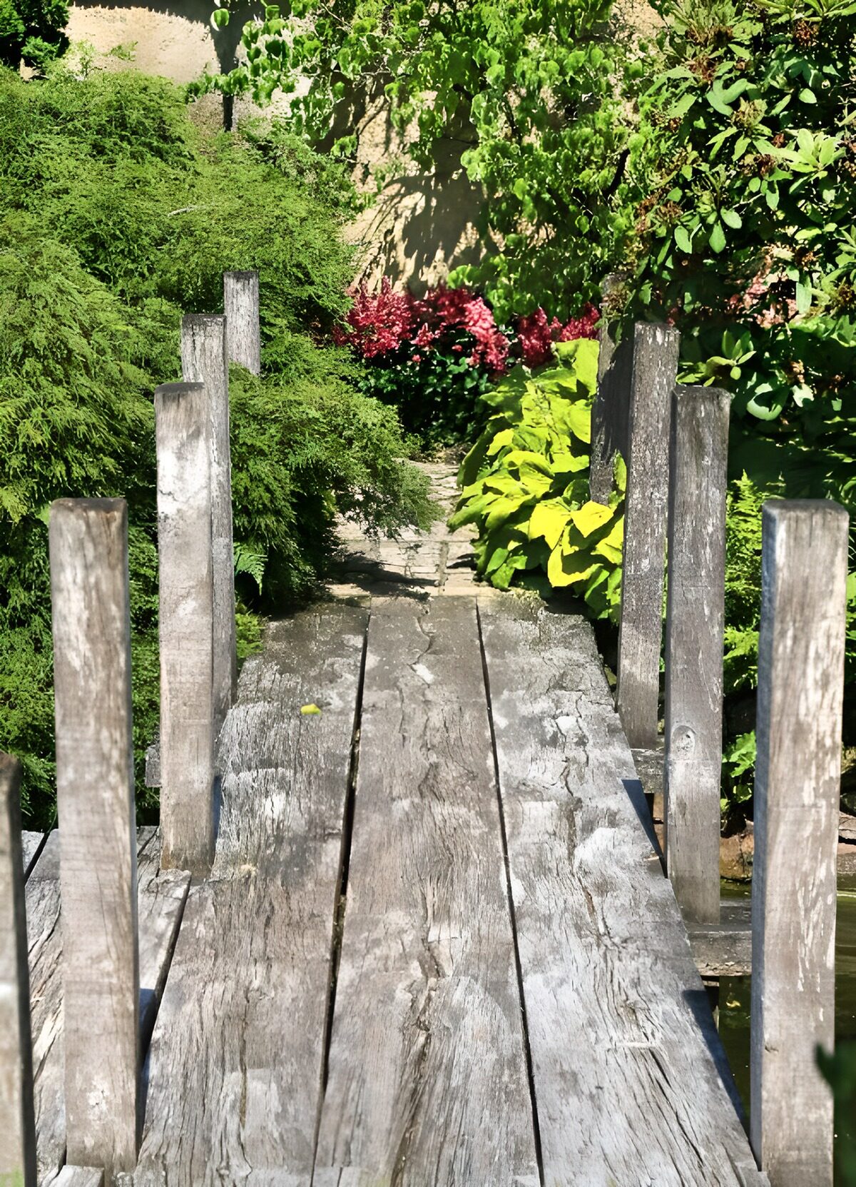 OCCOM3694738: Serene Garden Pathway