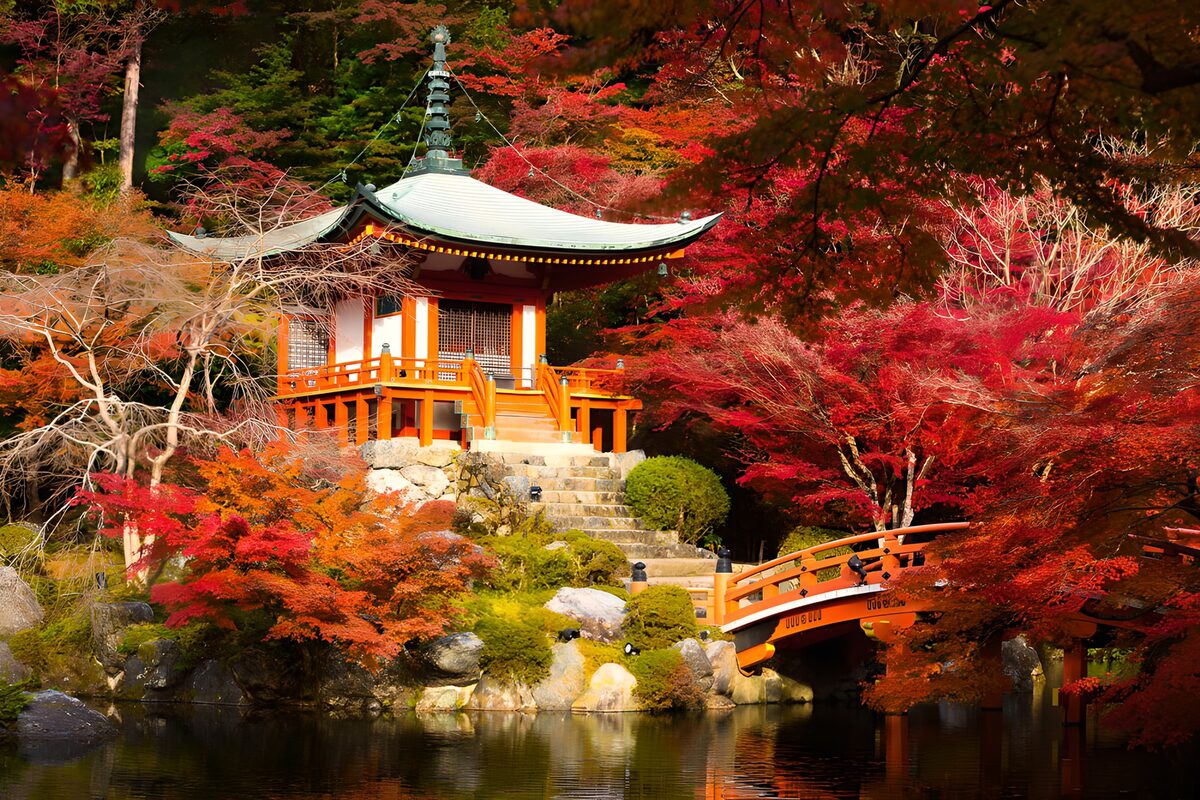 OCCOM9326129: Serene Autumn at a Japanese Temple