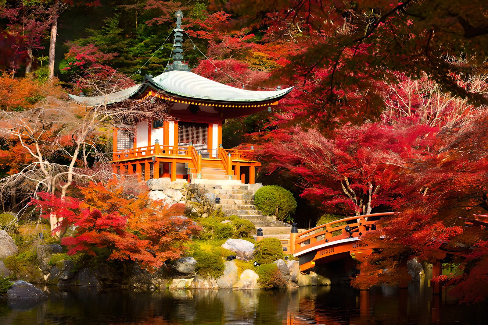 OCCOM9326129: Serene Autumn at a Japanese Temple