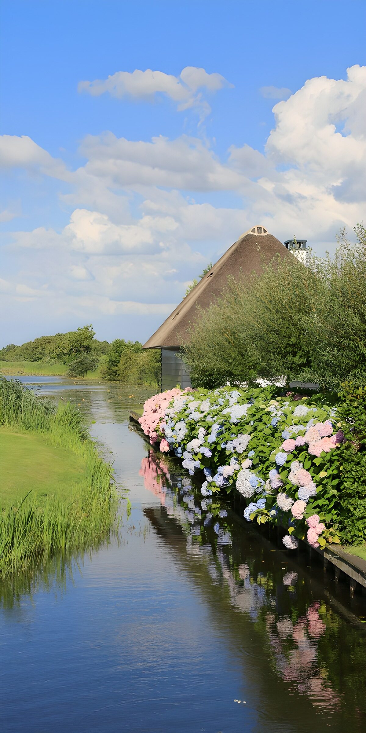 Serene Waterside Blooms