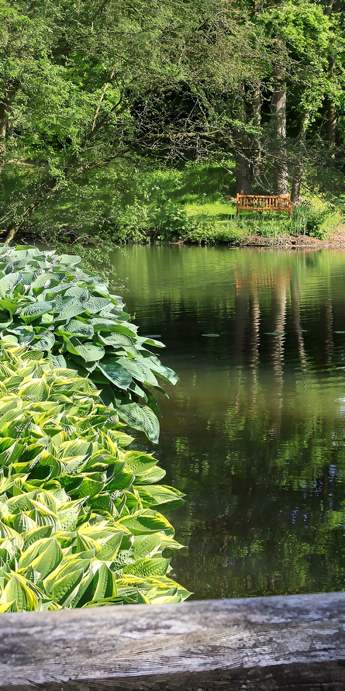 OCCOM1410834: Serene Lakeside Retreat