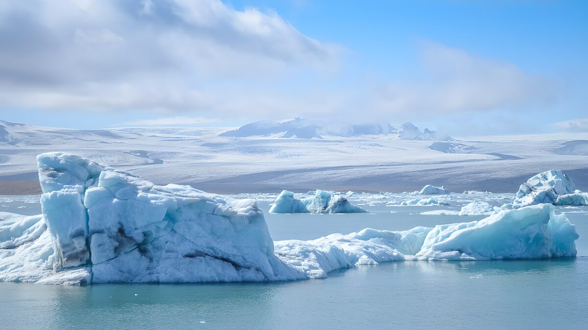 Icebergs in Serene Water