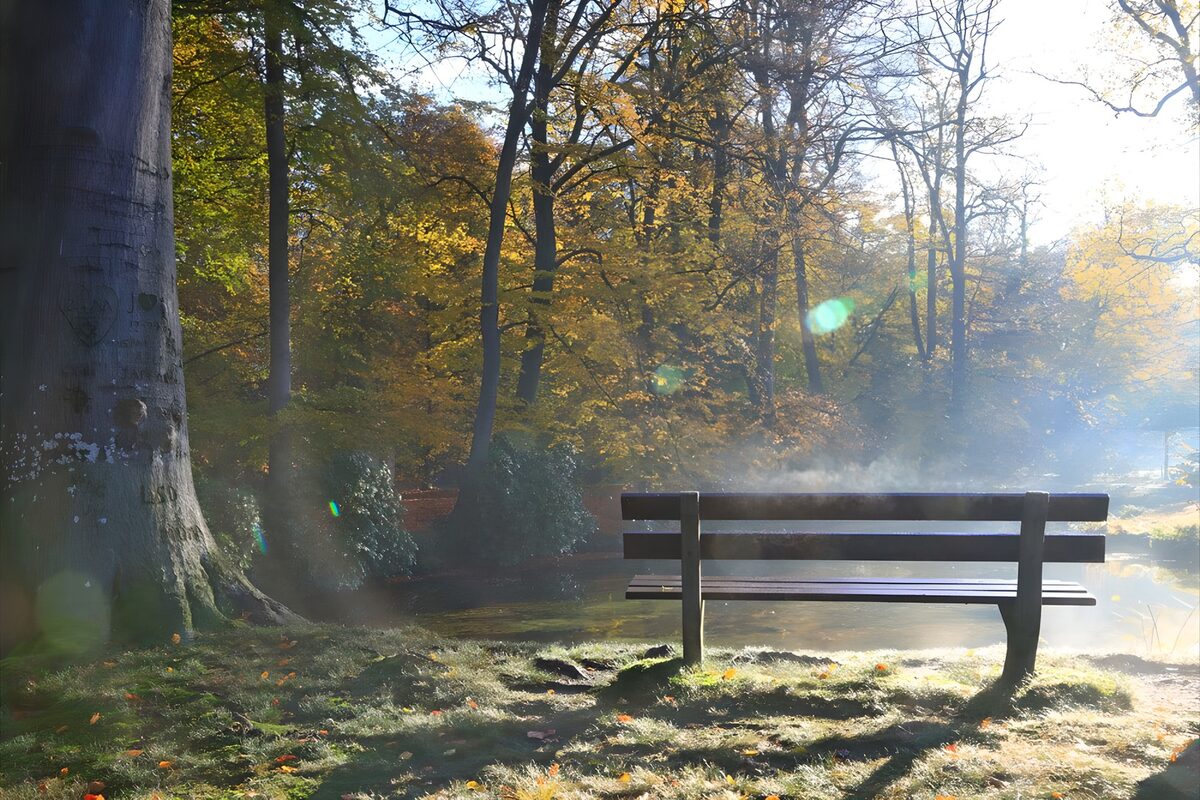 Serene Autumn Bench by the Water