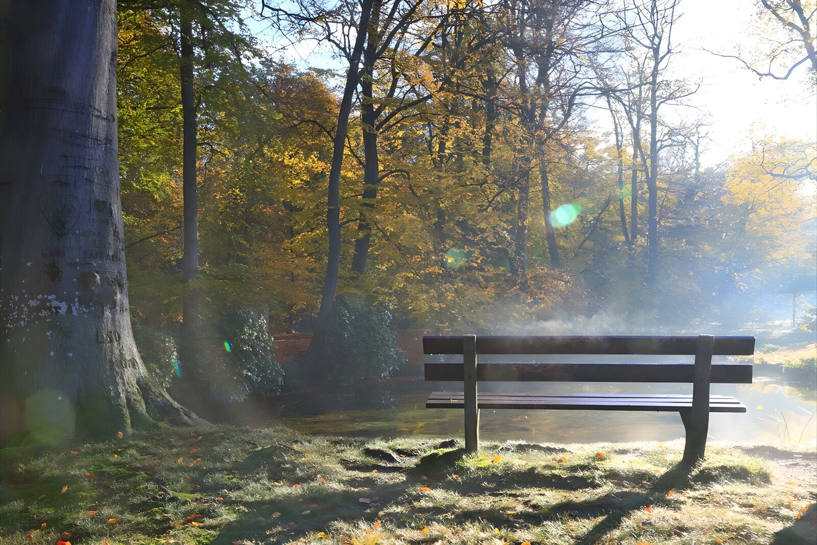 OCCOM5834994: Serene Autumn Bench by the Water
