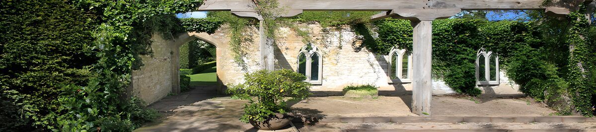 OCCOM2300097: Enchanted Ruins Overgrown with Greenery