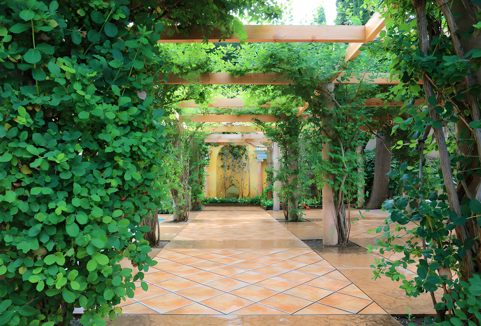 OCCOM3205894: Serene Green Garden Pathway