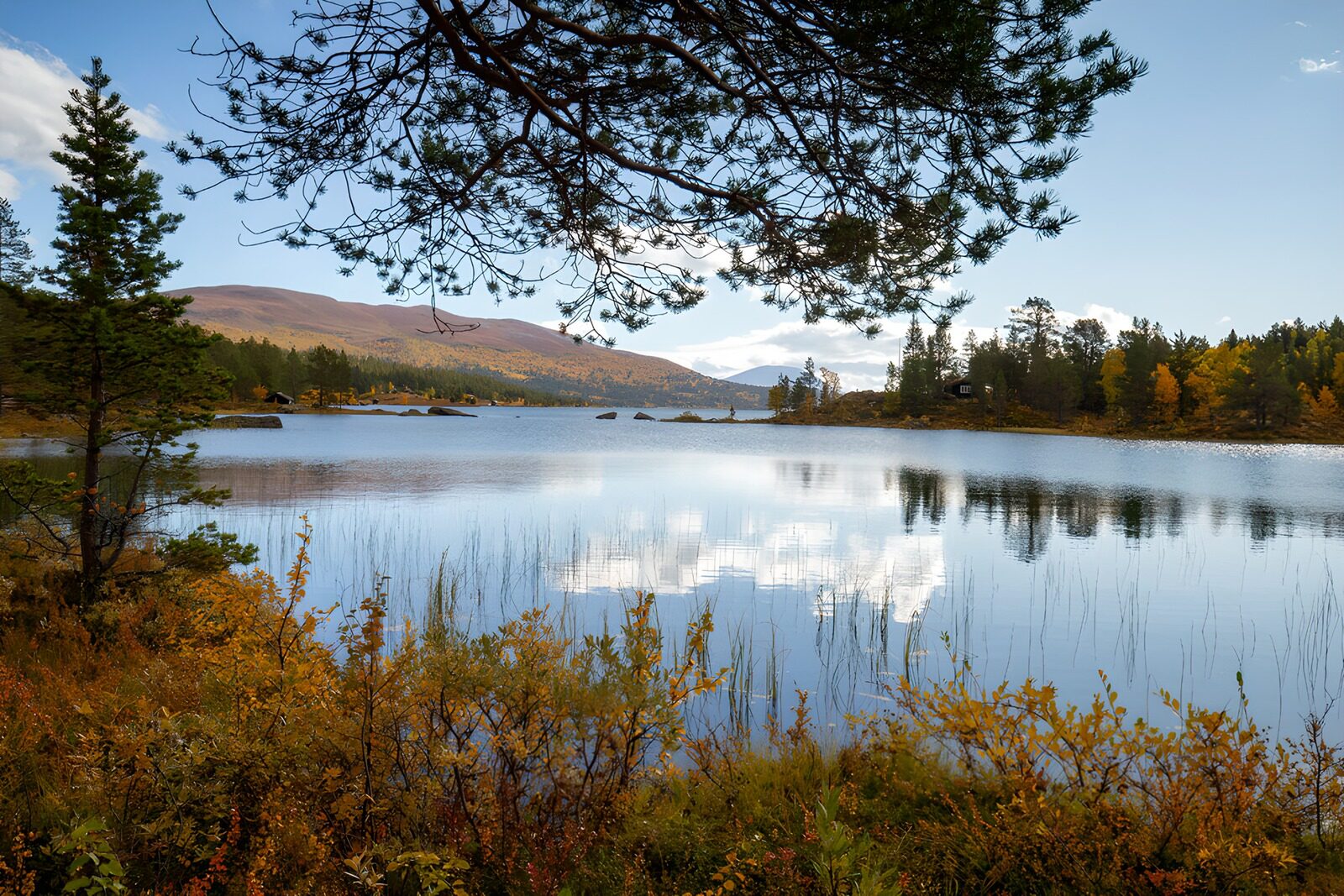 OCCOM3626153: Serene Lake Reflections