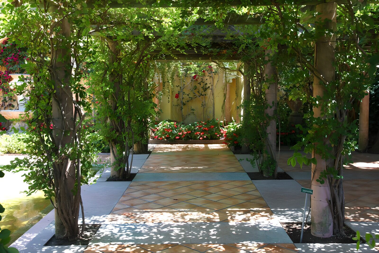 OCCOM3139049: Lush Garden Walkway Under Vines