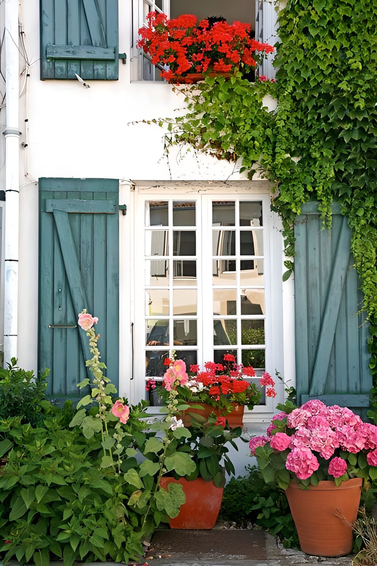 Charming Window with Flower Pots