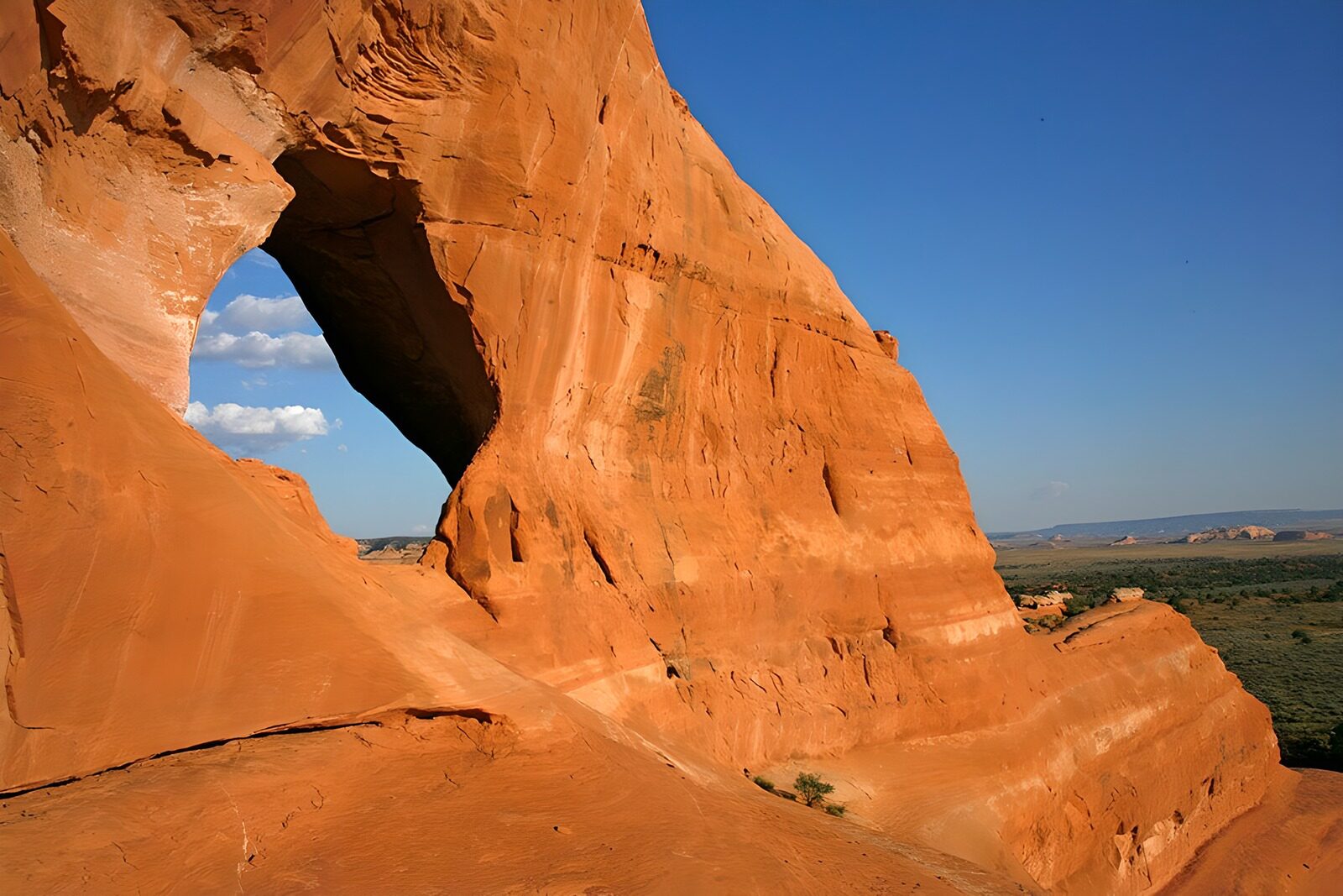 OCCOM8342430: Majestic Natural Rock Arch