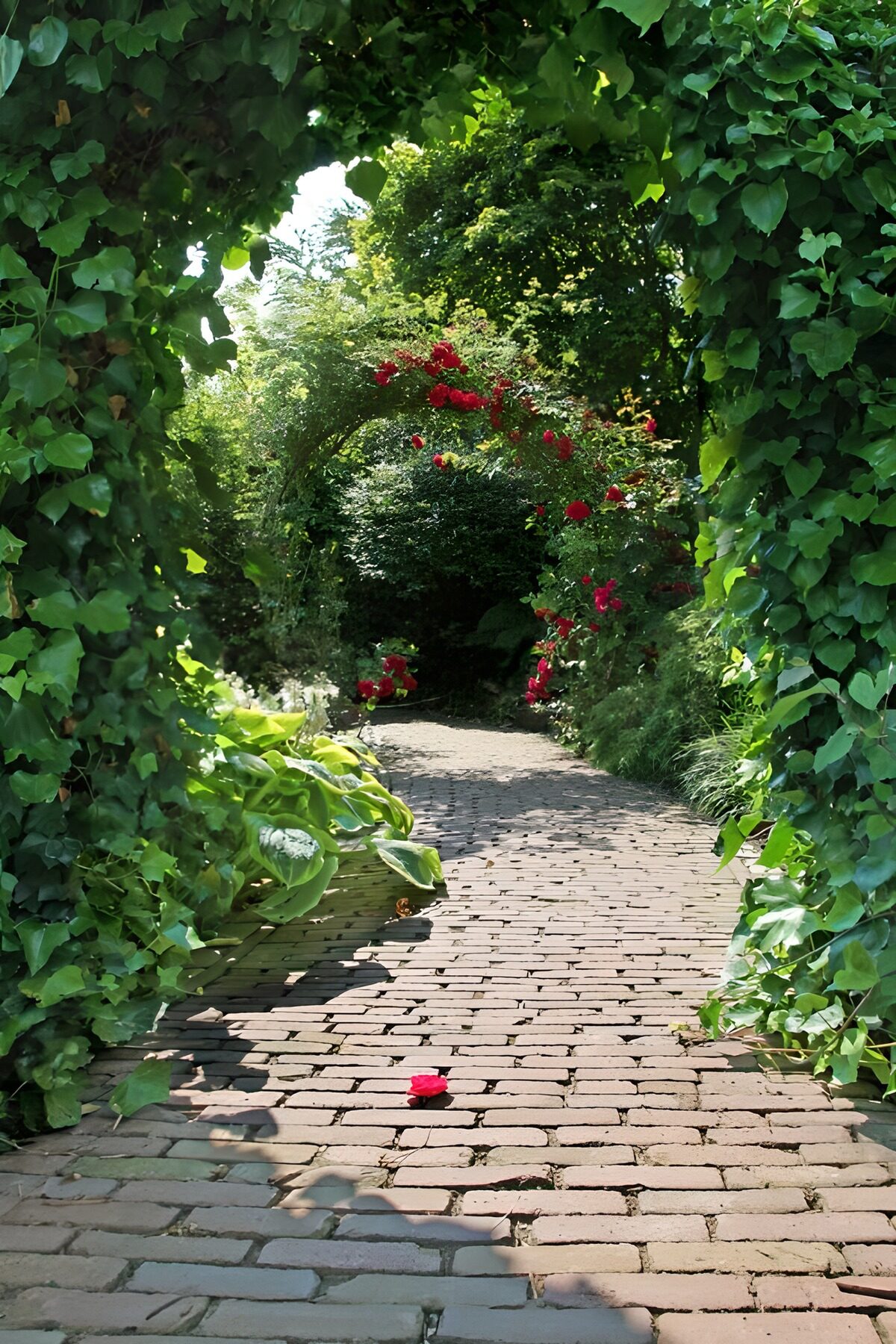 OCCOM4639079: Enchanted Garden Pathway