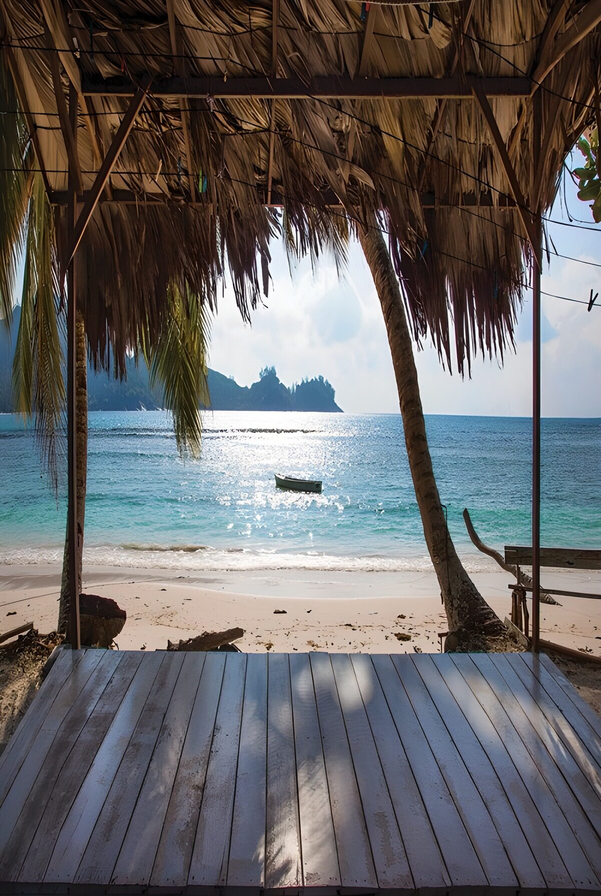Serene Beach View Under Palm Canopy