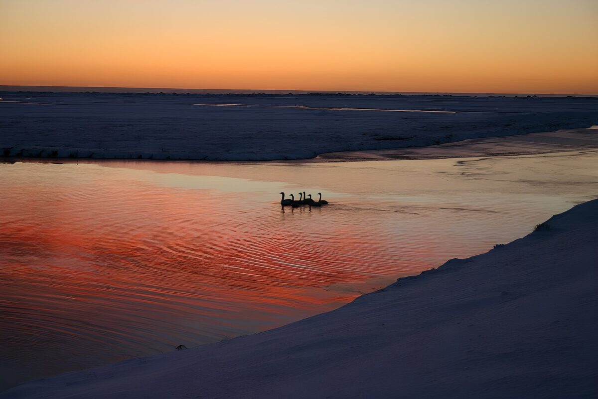 Tranquil Evening Reflections