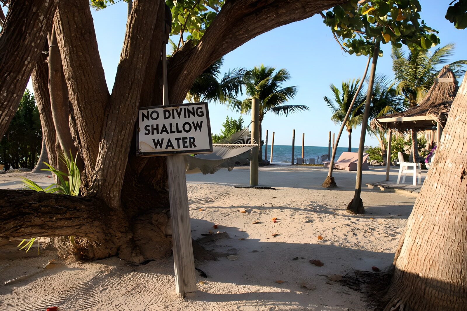 OCCOM4076423: Tranquil Beach Warning Sign