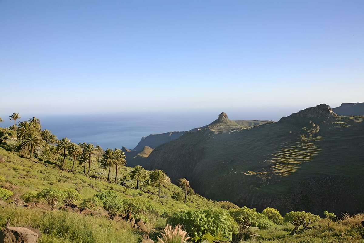 Serene Coastal Landscape with Palm Trees