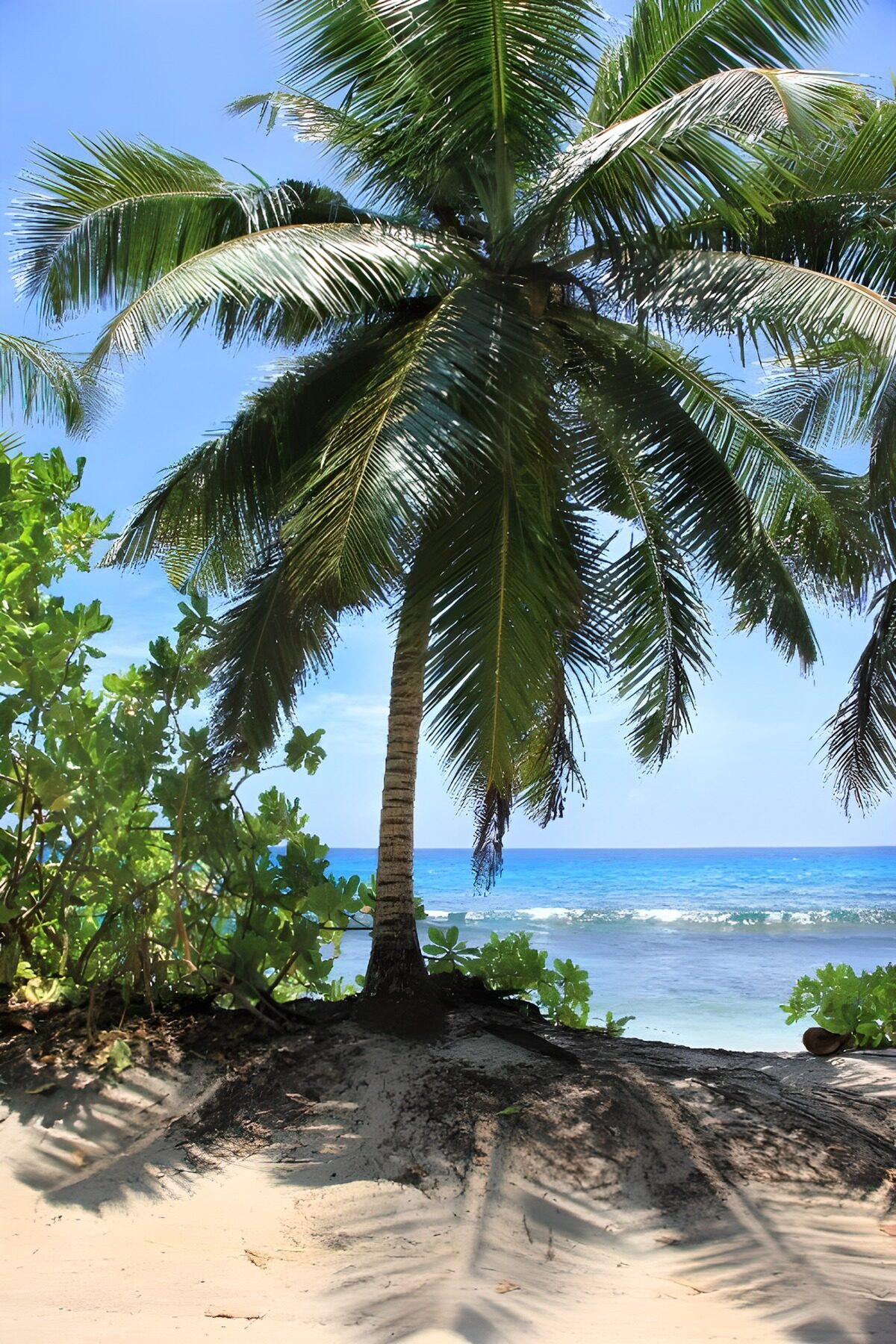 Serene Beach Oasis