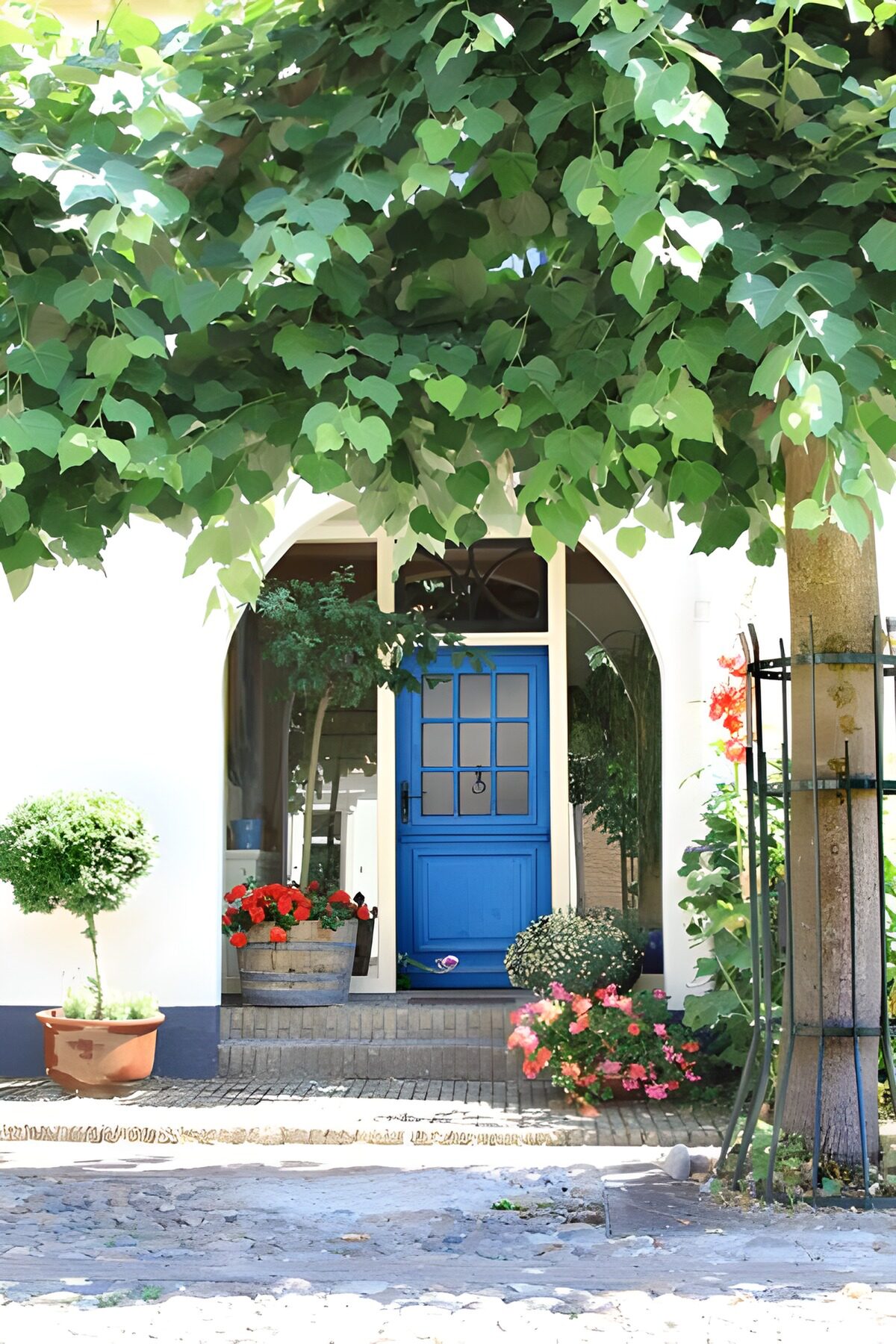 OCCOM2989474: Charming Blue Doorway Surrounded by Greenery