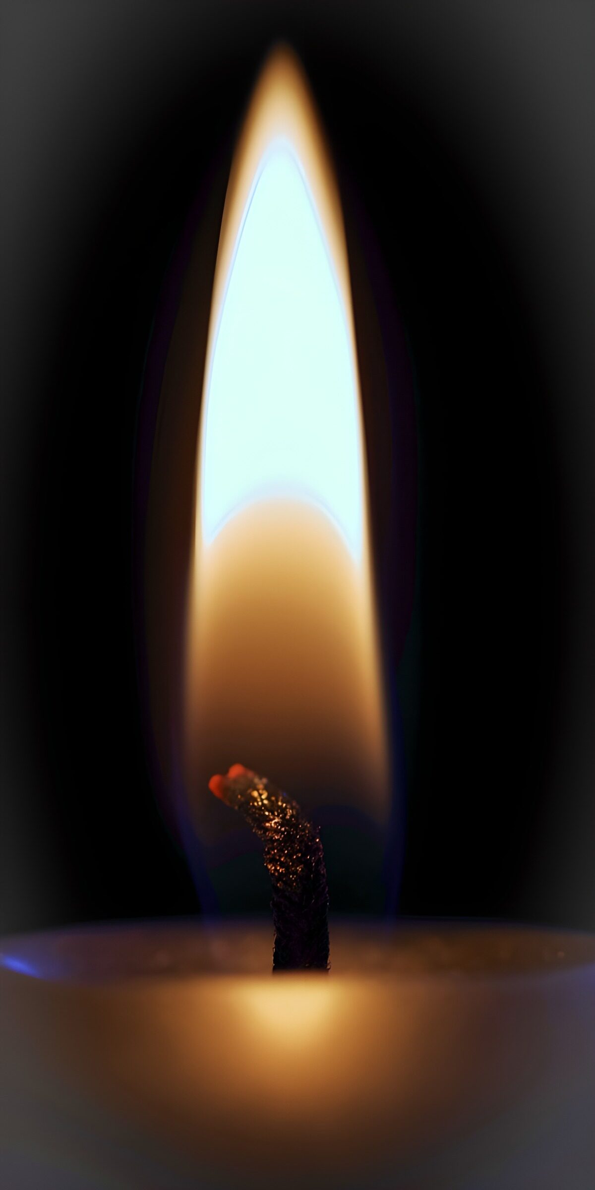 OCCOM4697108: "Serenity of a Candle Flame"
