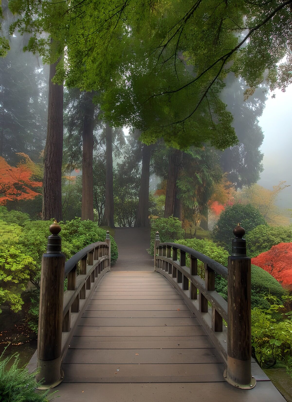 OCCOM2641031: Tranquil Wooden Bridge in a Misty Garden