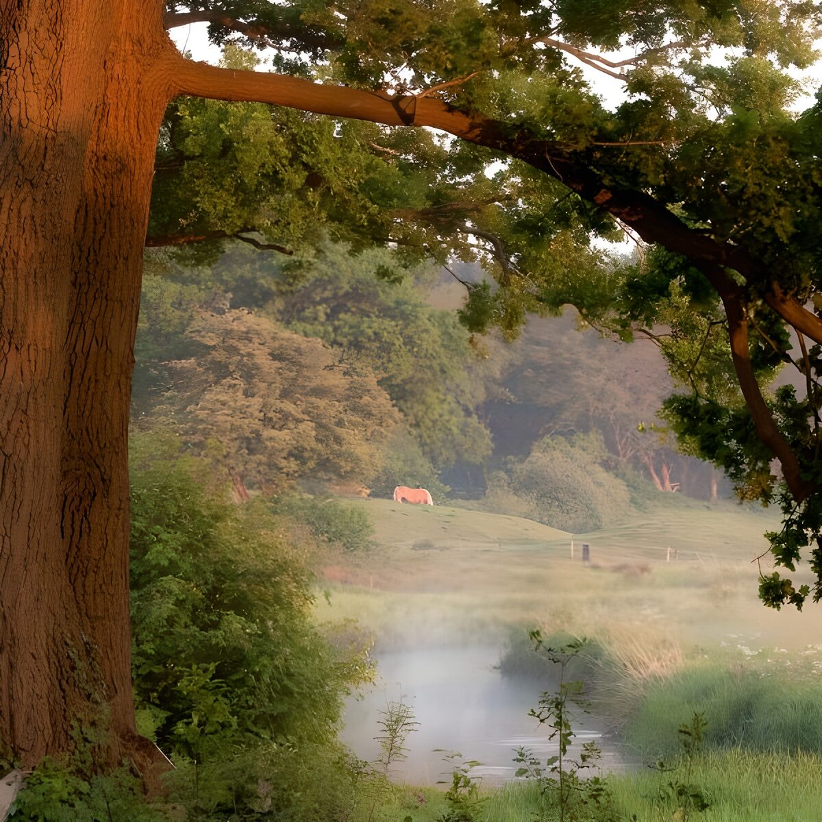 OCCOM6627949: Tranquil Meadow at Dawn