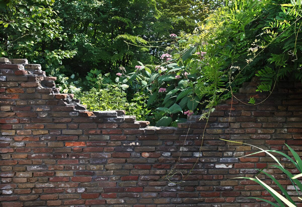 OCCOM6365583: Overgrown Wall with Nature's Embrace