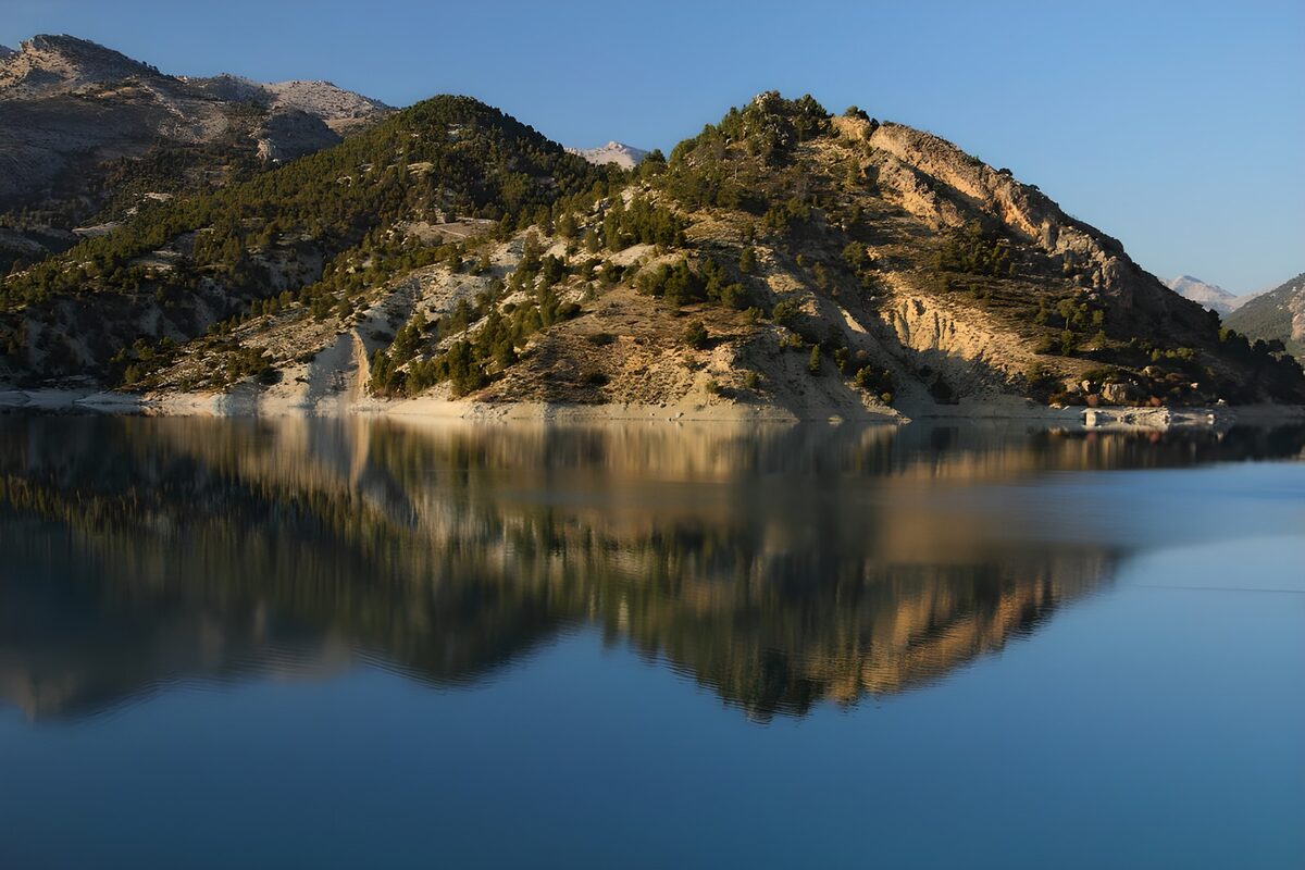 Tranquil Reflections at the Lake