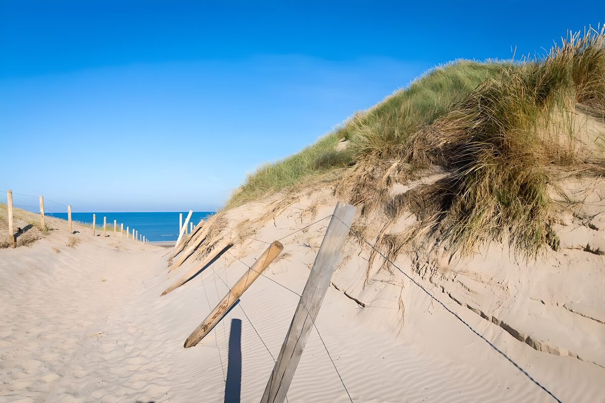 OCCOM4680456: Tranquil Path to the Beach