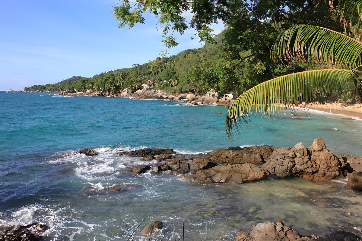 OCCOM5338804: Serene Coastal Paradise