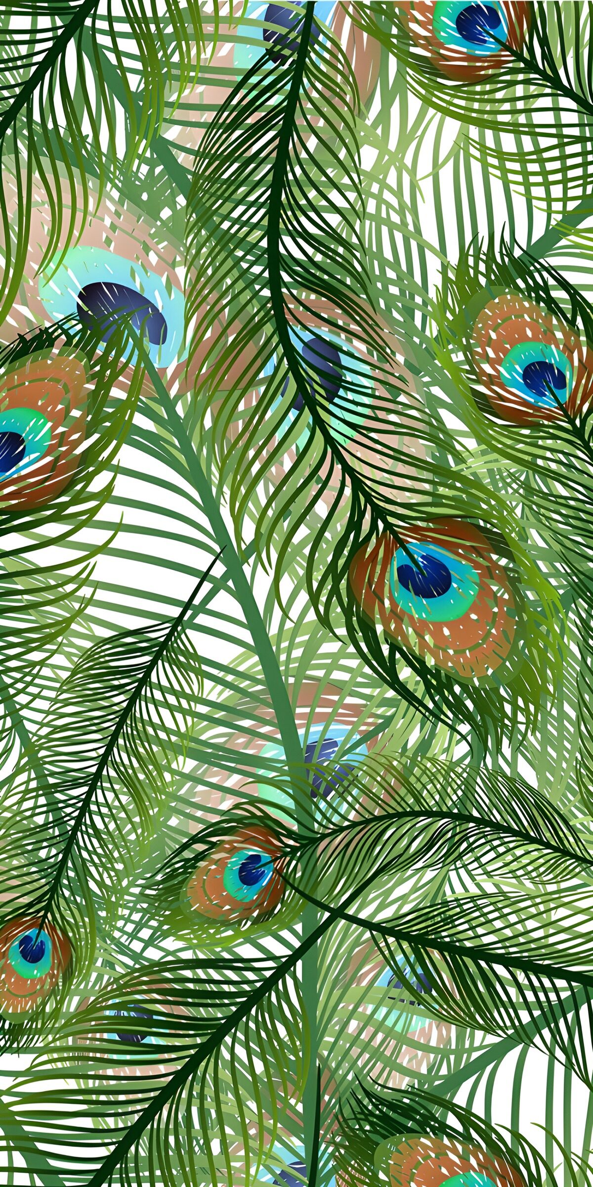 OCCOM4259588: Colorful Peacock Feathers Pattern