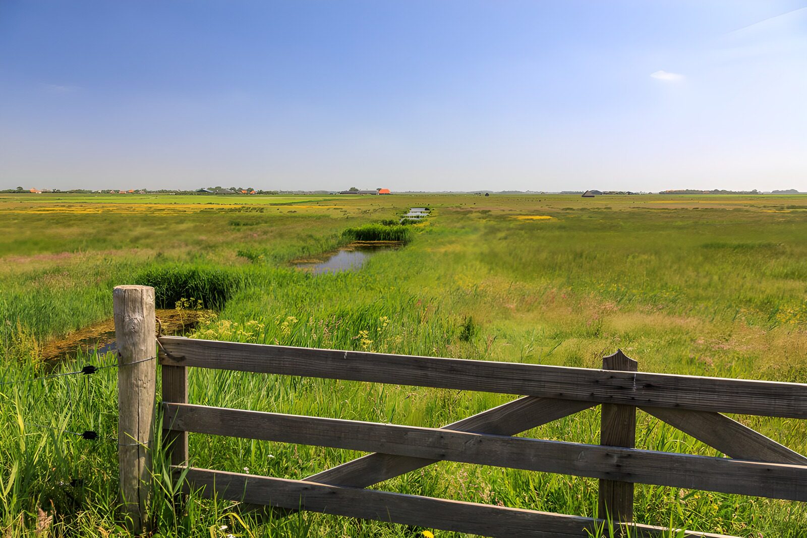 OCCOM3423963: Serene Meadow with Wooden Gate