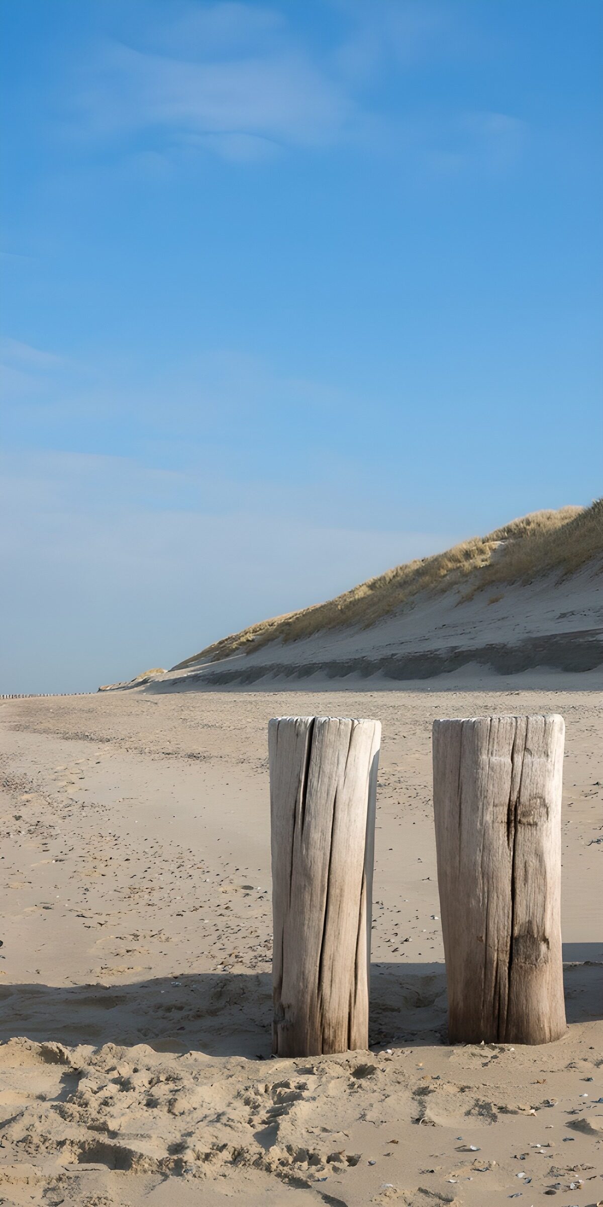 OCCOM7822987: Weathered Posts on a Serene Beach