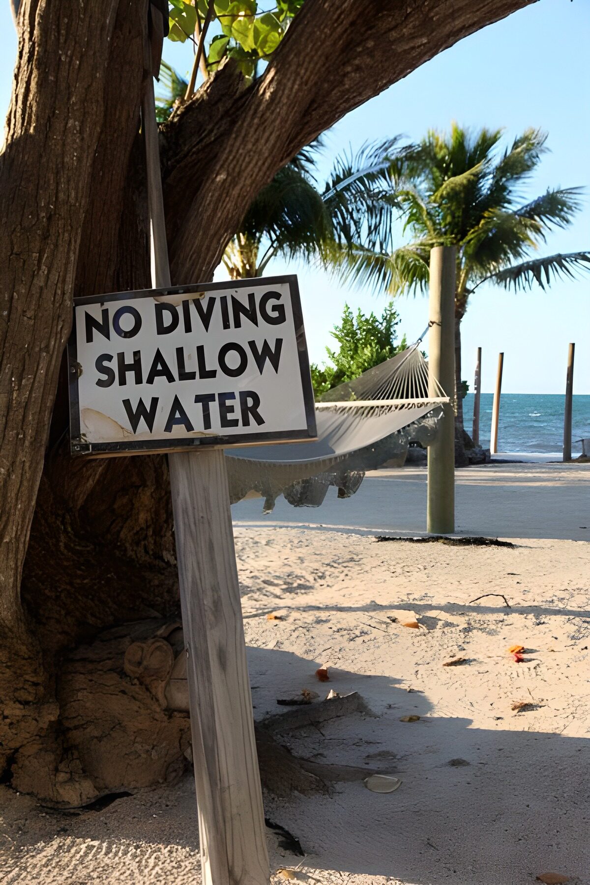 Safety Warning at the Shoreline