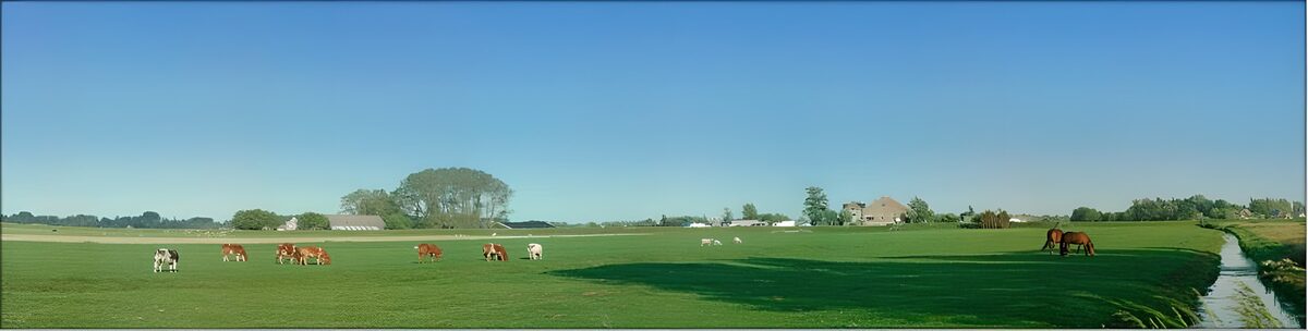 OCCOM7721602: Tranquil Pastoral Landscape