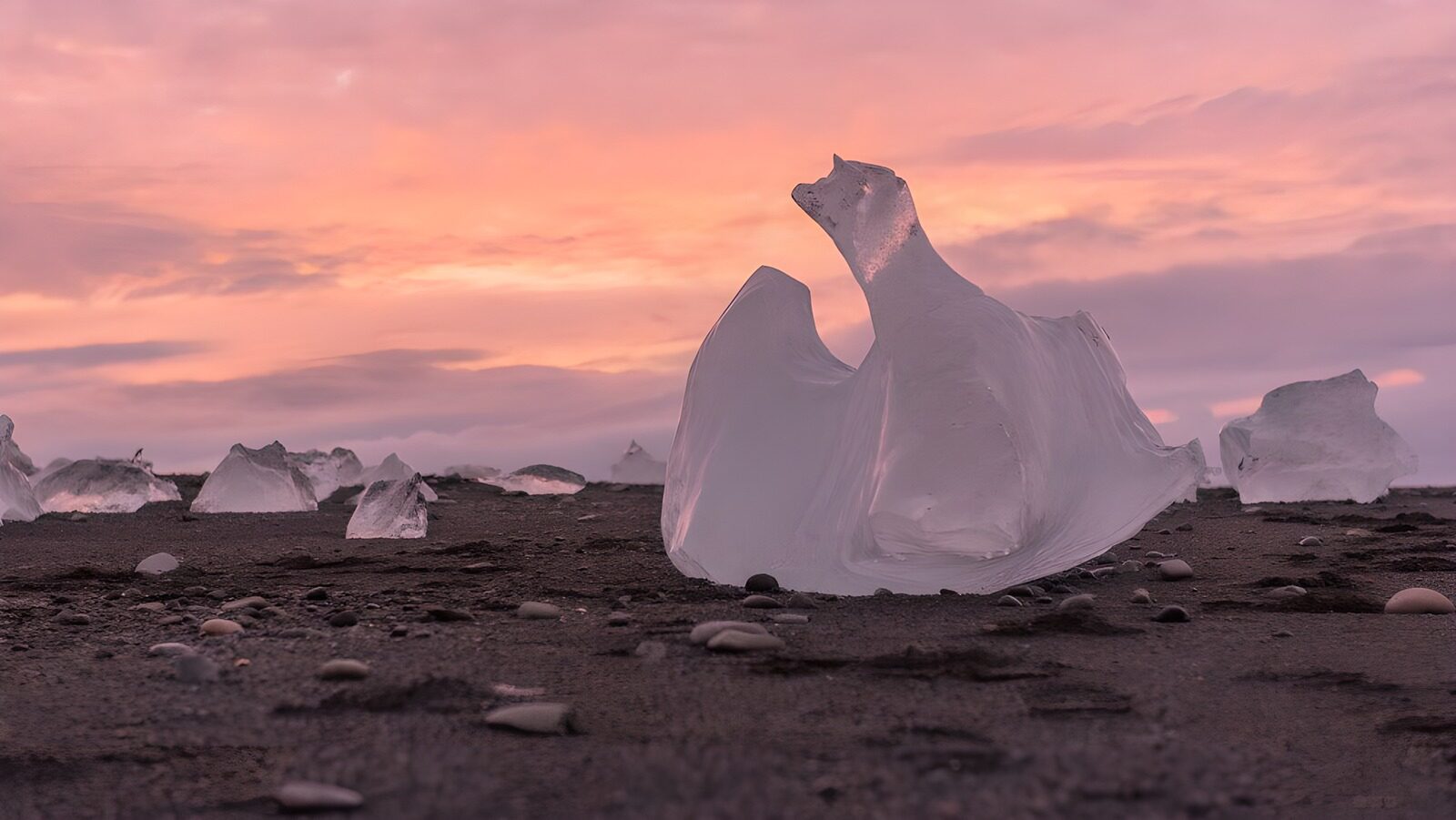 OCCOM1621879: Ice Sculpture at Sunset