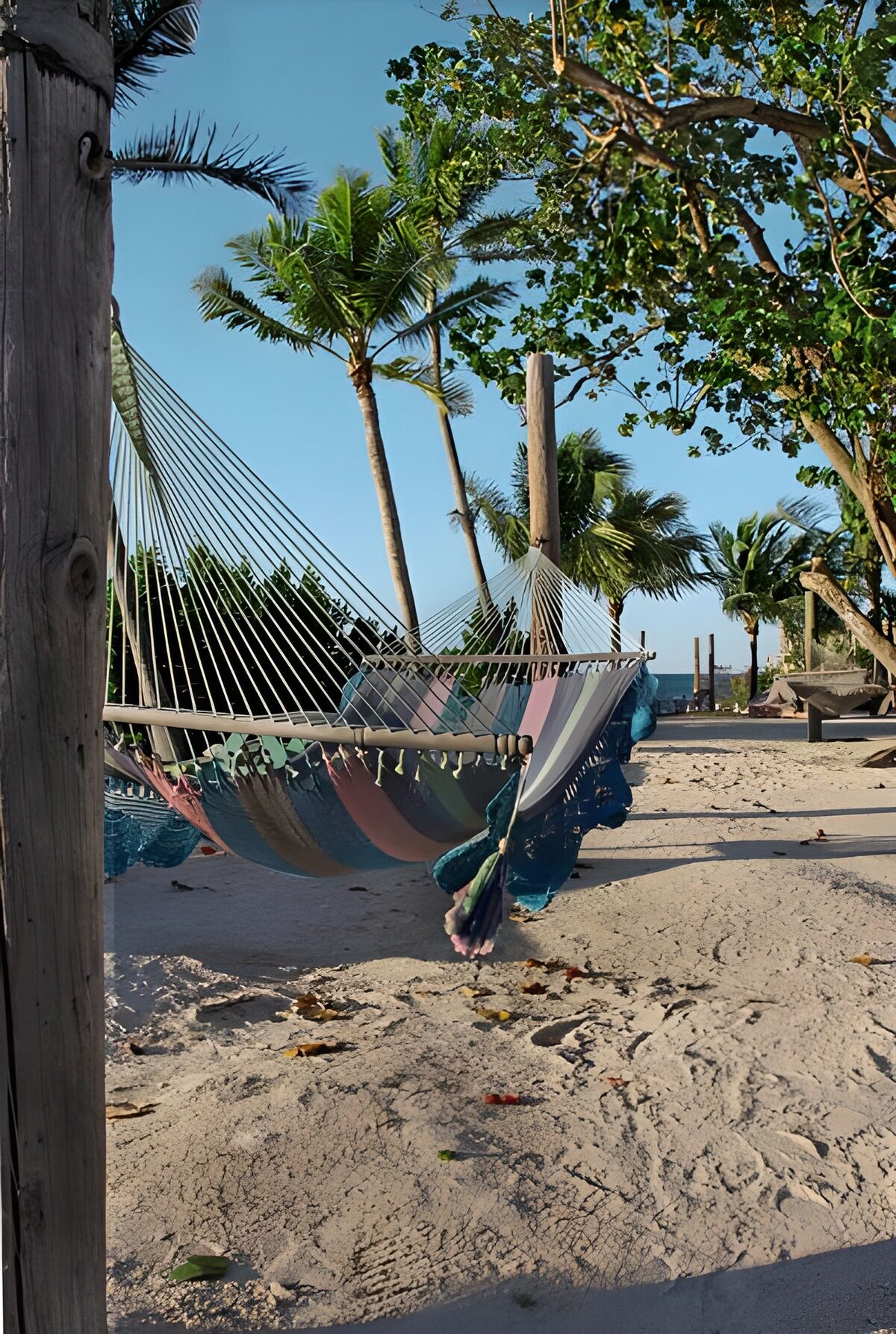Tranquil Beach Hammock Escape
