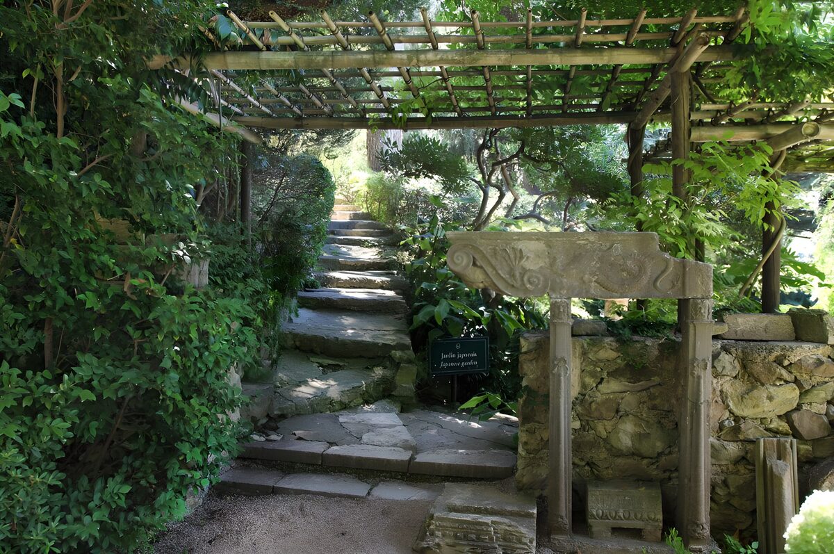 OCCOM1532939: Tranquil Pathway Through a Lush Garden