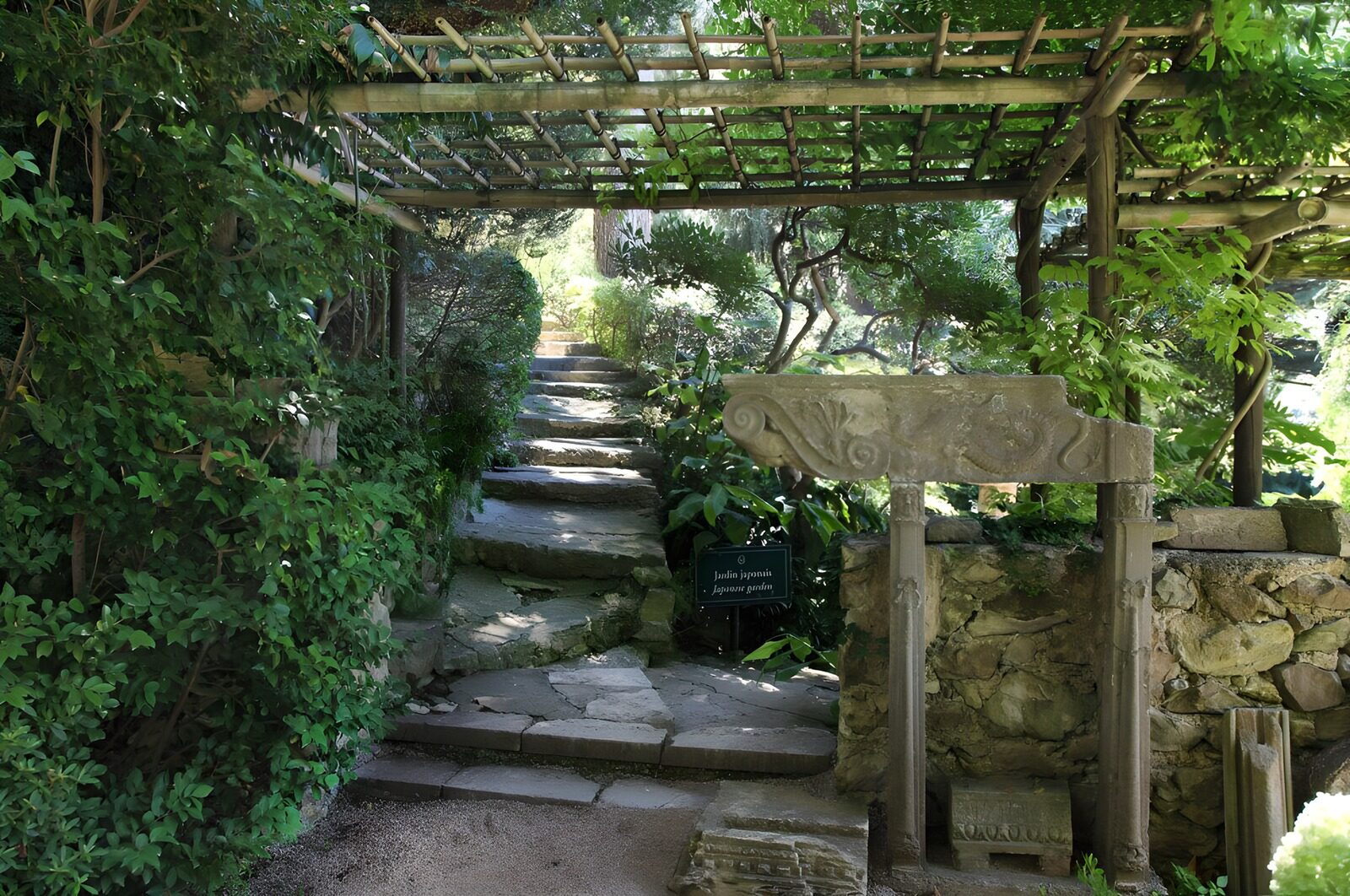 OCCOM1532939: Tranquil Pathway Through a Lush Garden